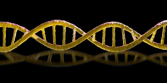 No one’s sure if synthetic mirror life will kill us all