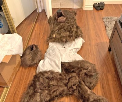 Three sentenced for fake bear attack insurance scam