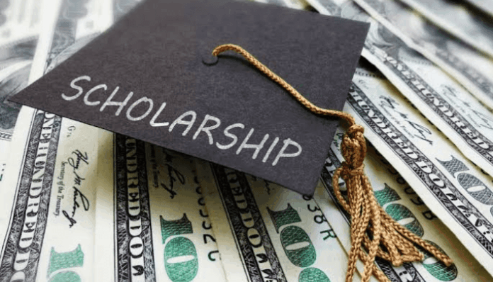 ‘Split-site initiative’ in overseas doctorate scholarships to arrest capital flight — PTDF