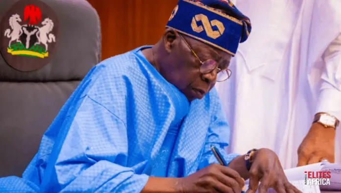 Palliatives, CNG Buses, and Cash Transfers: Did Tinubu’s Relief Measures Really Help Nigerians?
