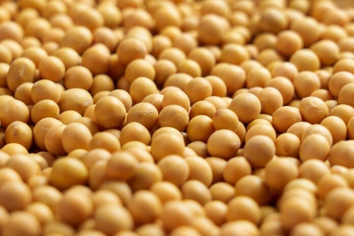 Soybeans Close with Mixed Trade on Thursday