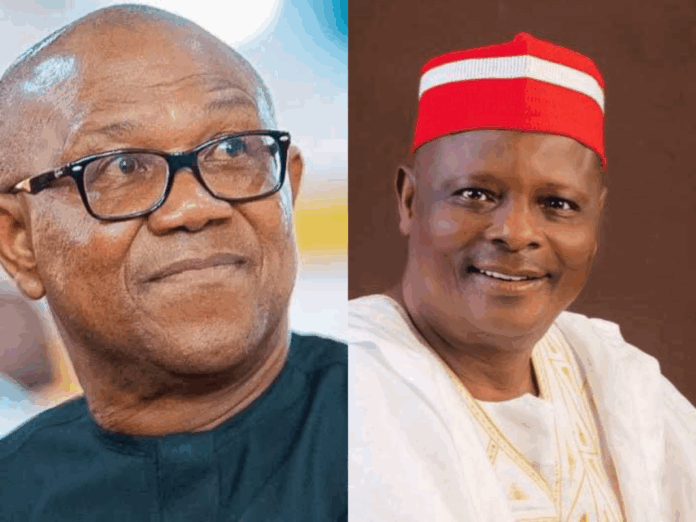 Analysts divided as Obi, Kwankwaso eye presidency on NDC platform