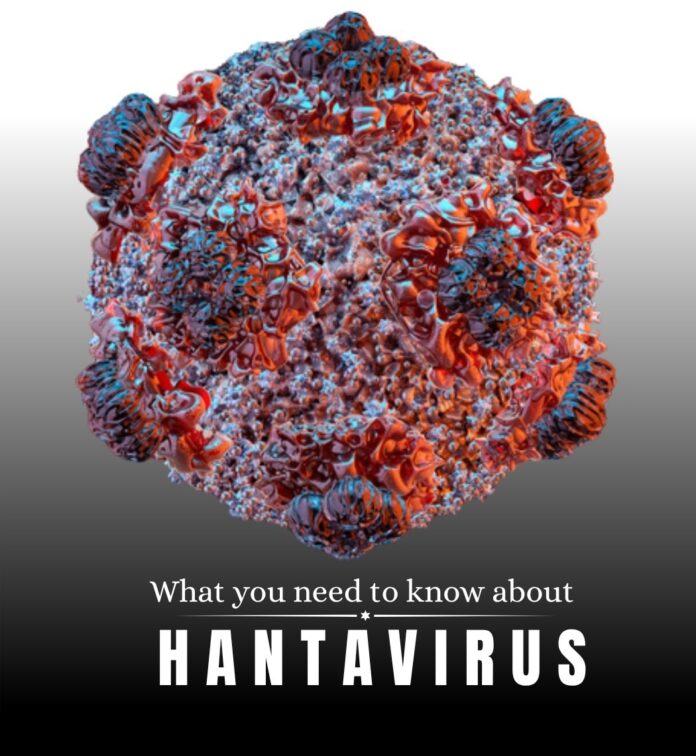 WHO confirms five hantavirus cases as cruise ship sails to Spain